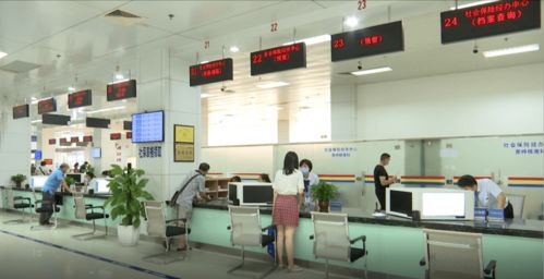 北海深入貫徹落實(shí)“十六字”工作方針，以專業(yè)咨詢服務(wù)驅(qū)動(dòng)經(jīng)濟(jì)社會(huì)邁上新臺(tái)階